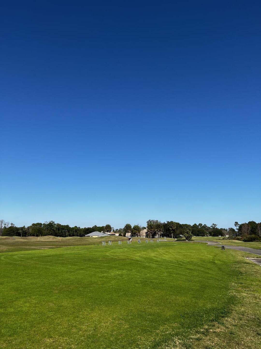 (Photo submitted by Qjt9m6w1Tx01873gM2P7 on 12/30/2021)