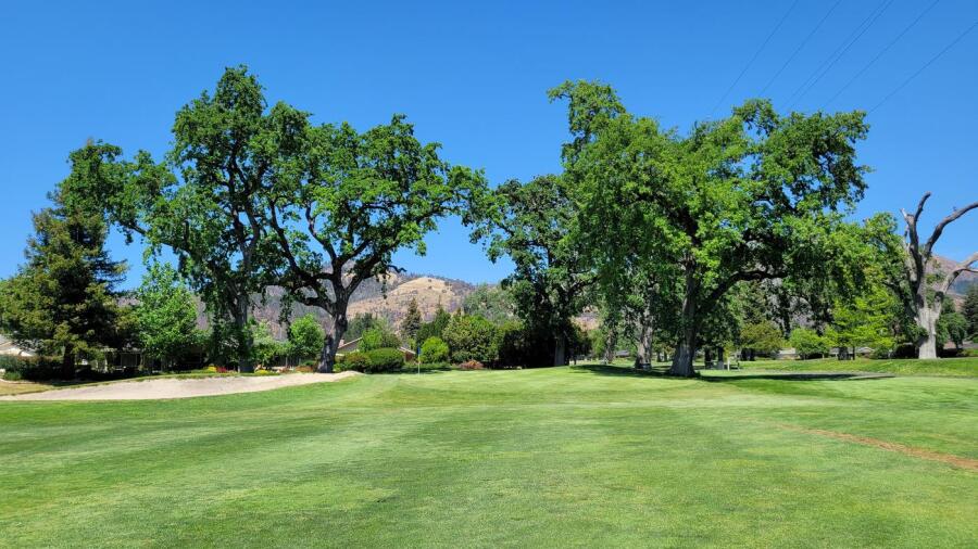 Oakmont West - trees