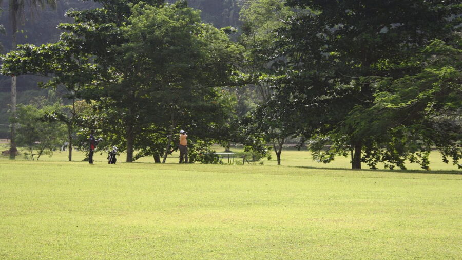 Nsuta GC