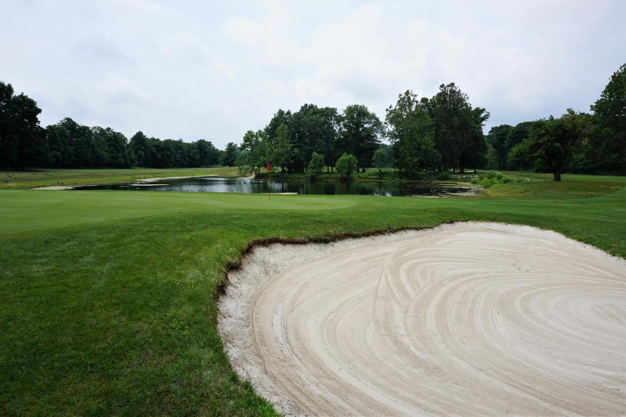 Three: Same hole from green's left flank. As a short par-4, it doglegs right around this pond. (Photo submitted by AptlyLinked on 07/10/2020)