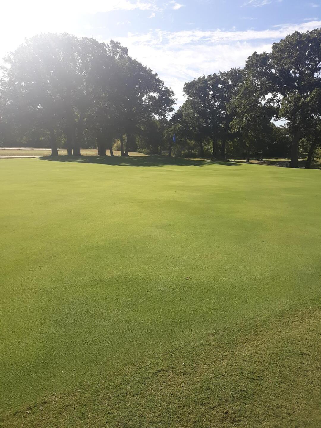 (Photo submitted by x4fqLwyB1PqNmG07MyRt on 10/14/2020)