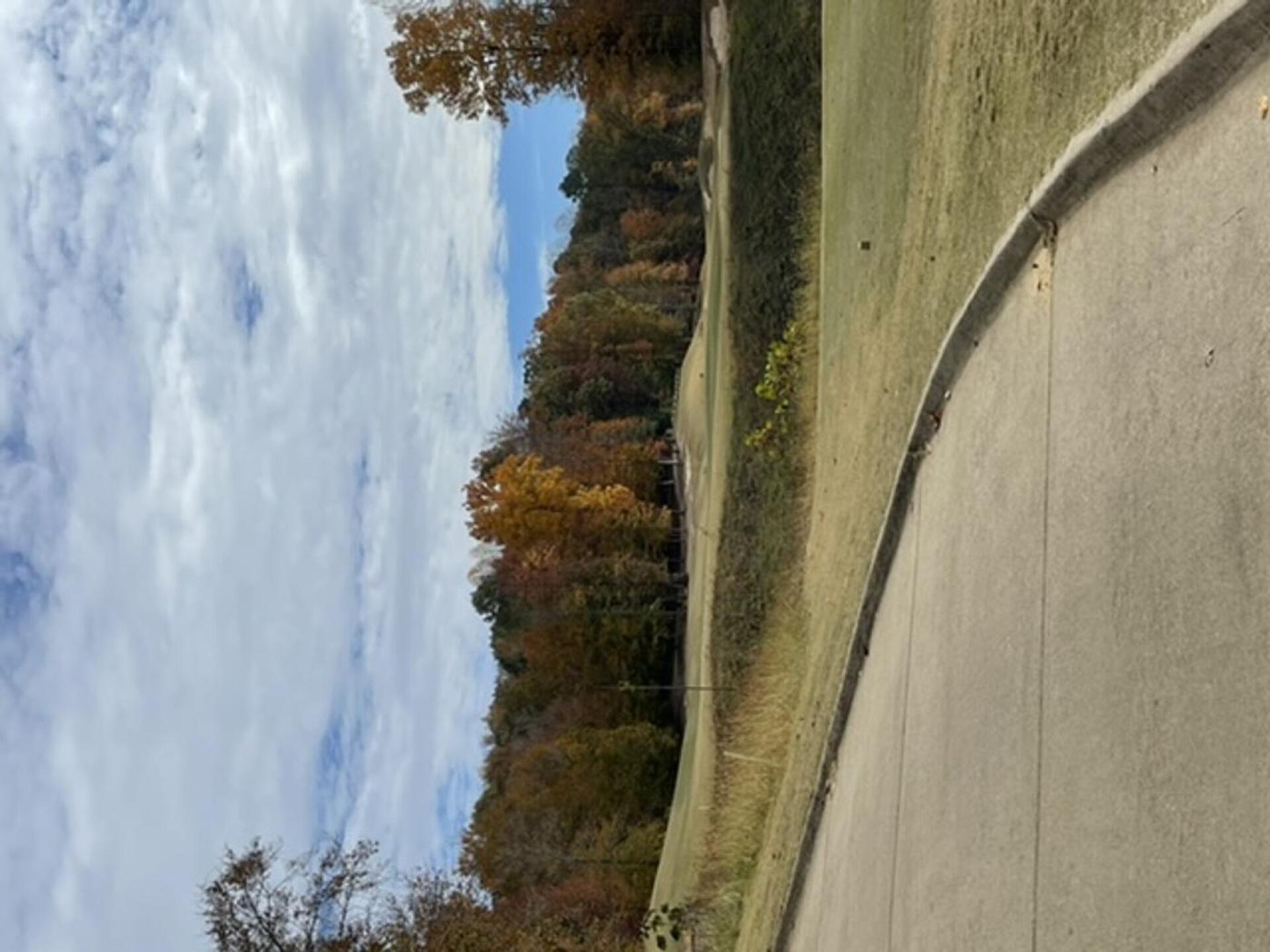 (Photo submitted by u9335849 on 11/01/2022)