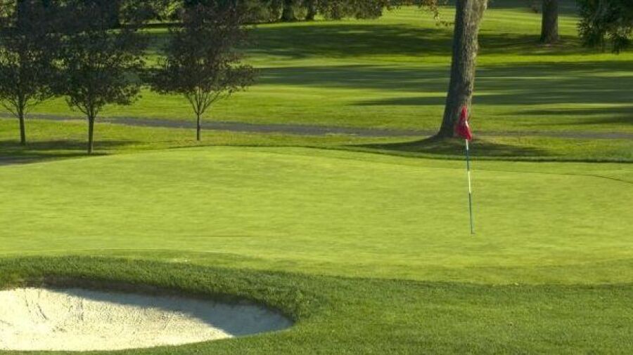White Beeches GCC