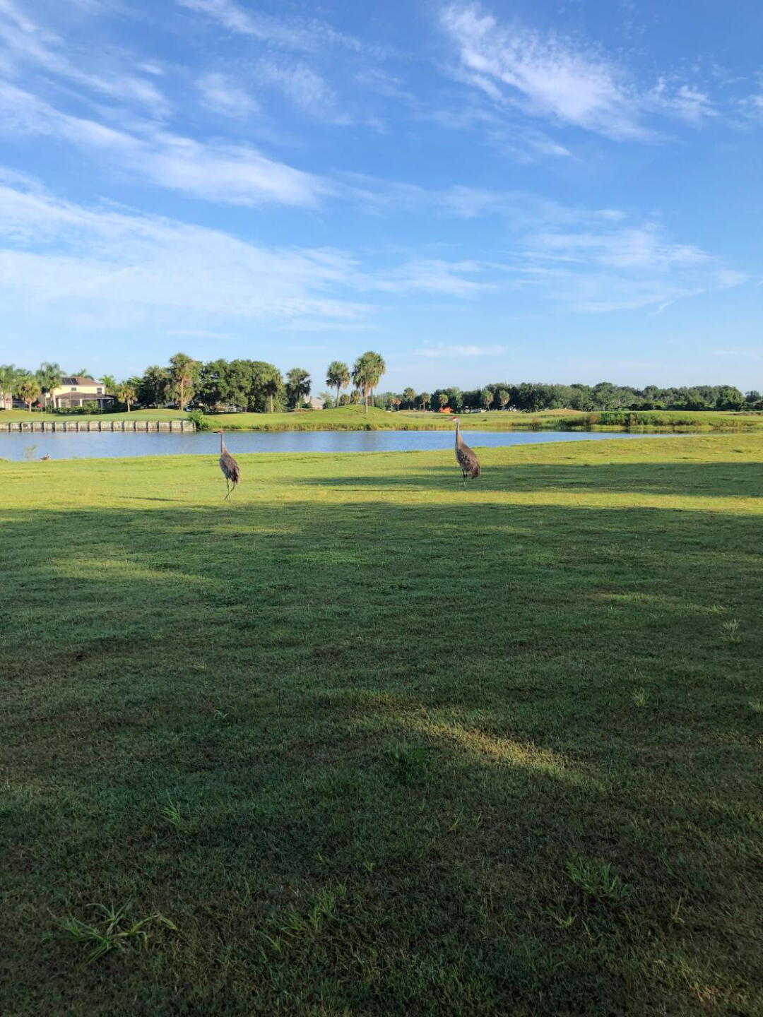 (Photo submitted by u000001043038 on 06/27/2019)
