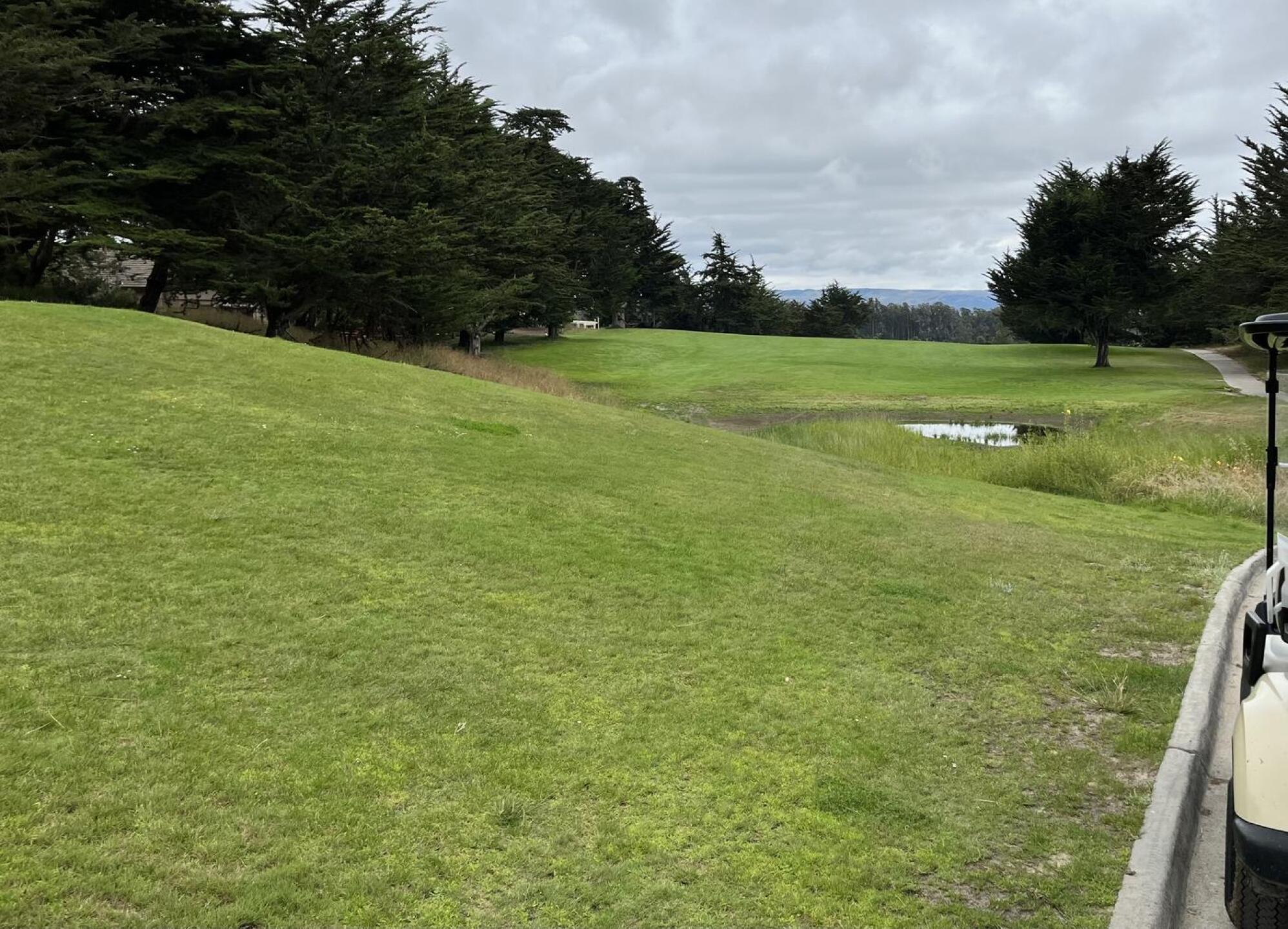 (Photo submitted by u591919903 on 06/12/2023)