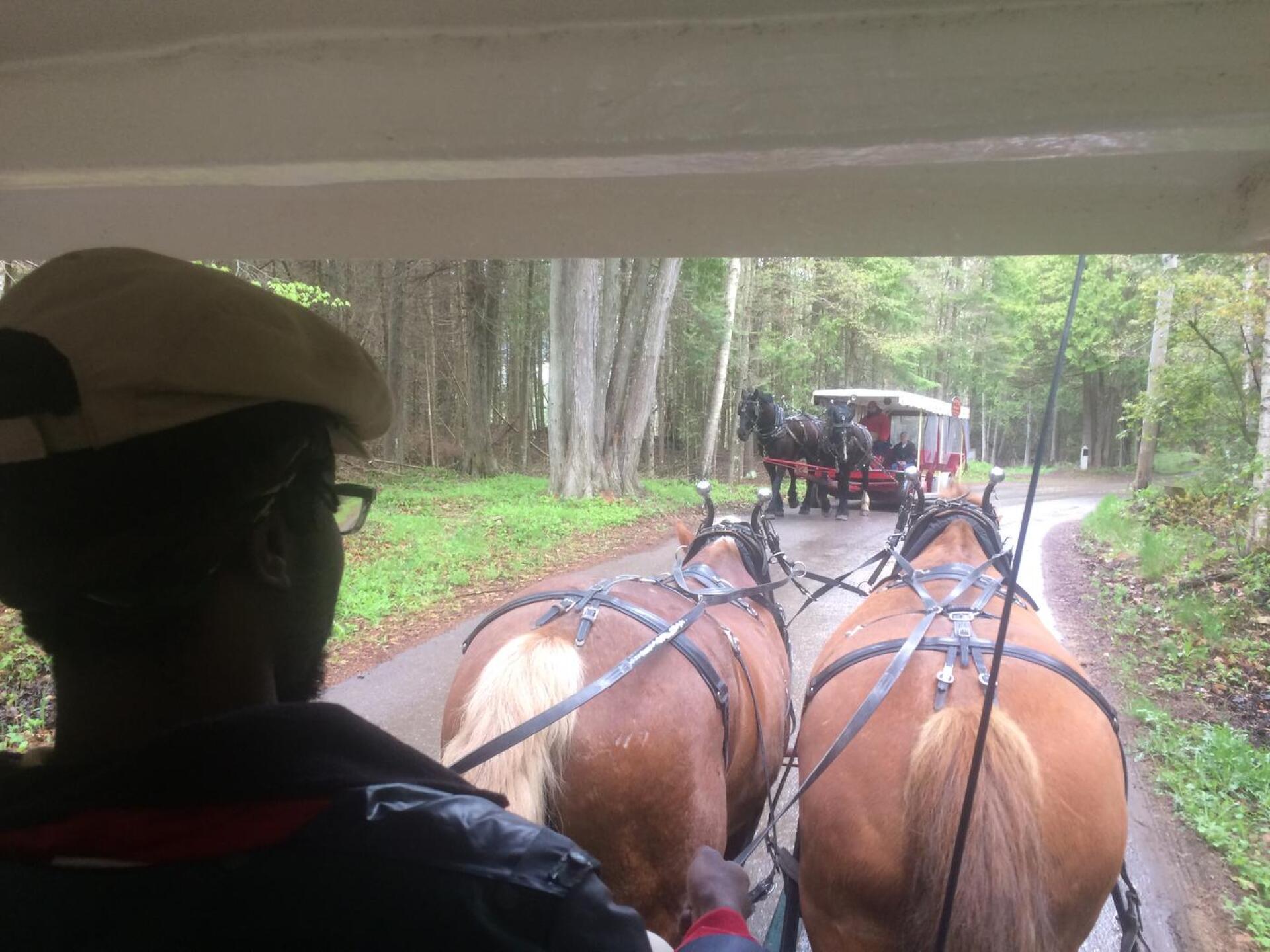 Horse ride to/from the Woods nine (Photo submitted by BrandonTuckerGA on 06/01/2017)