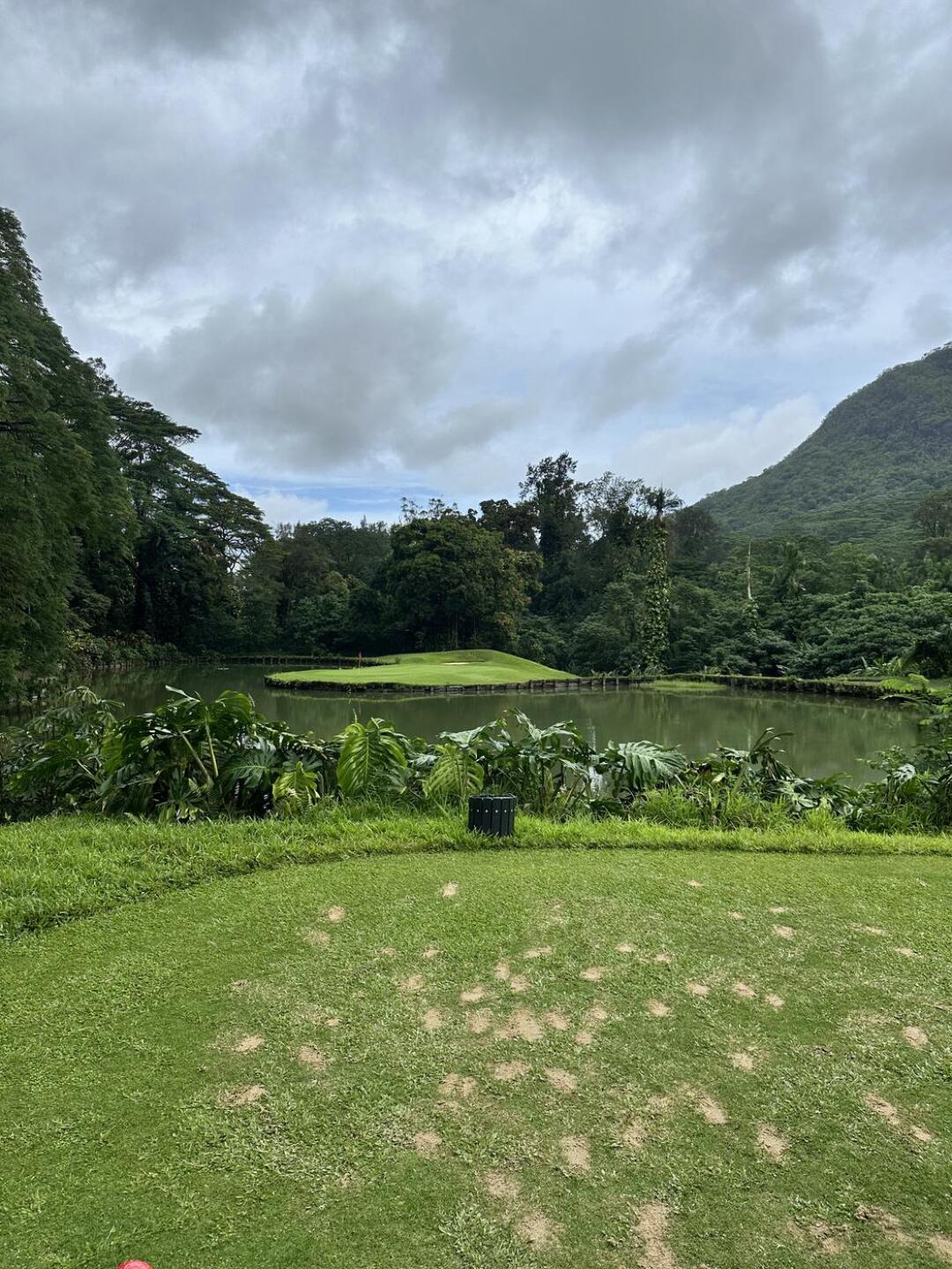 (Photo submitted by aldana90805 on 03/19/2025)