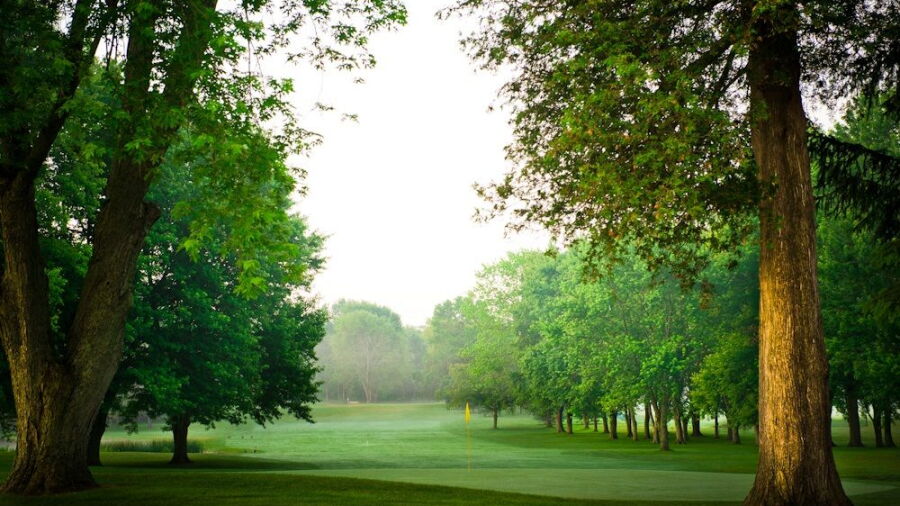 Craigowan GC: #7