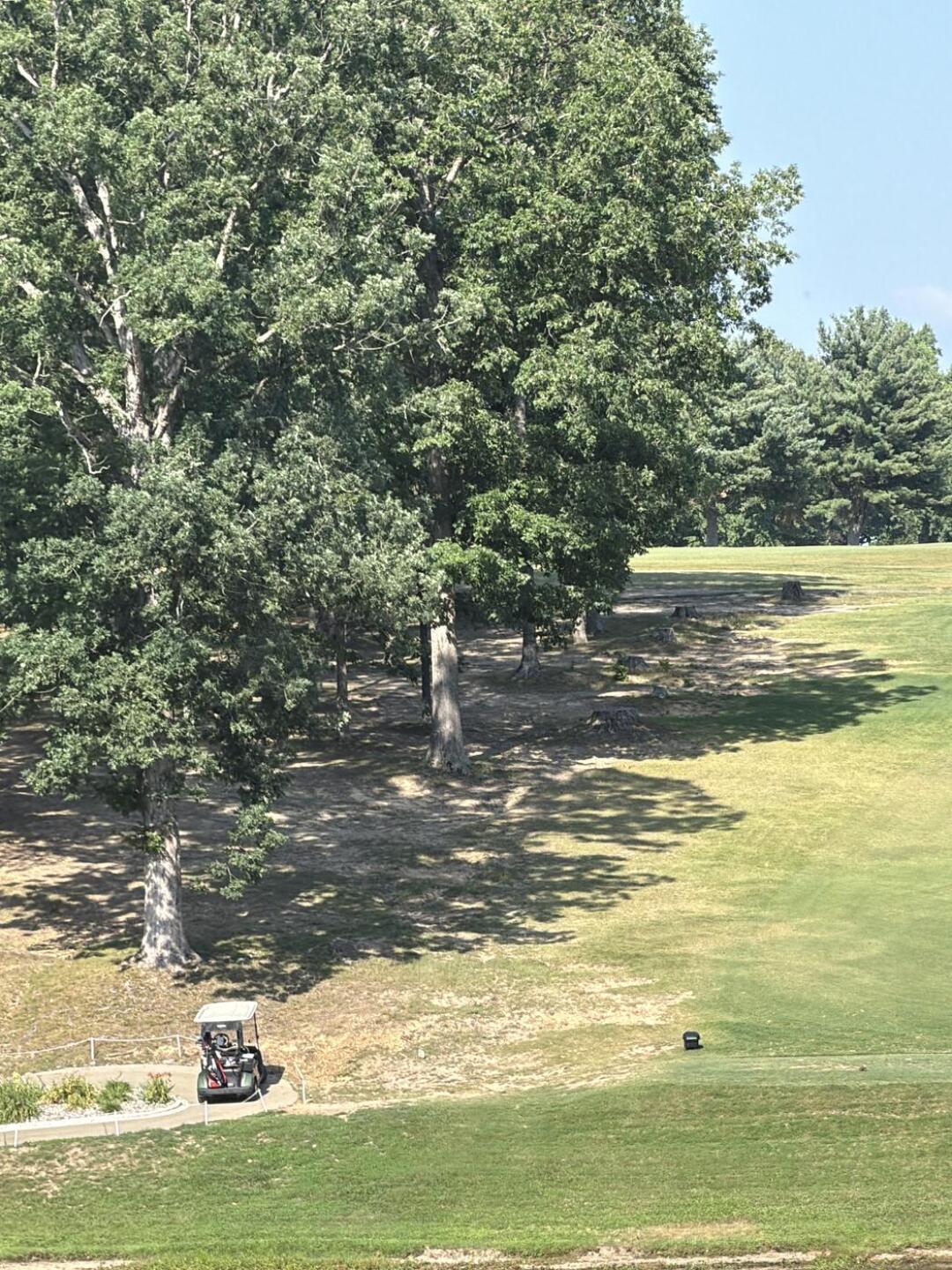 (Photo submitted by 100handicapgolfer on 07/01/2026)