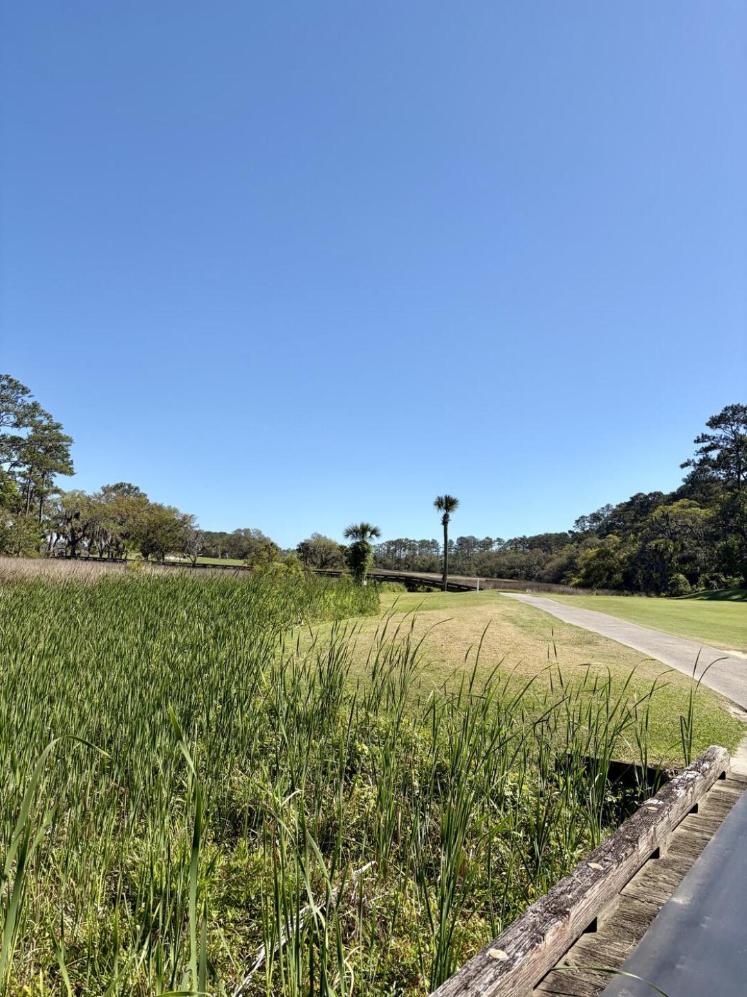 (Photo submitted by u374219859 on 04/11/2026)