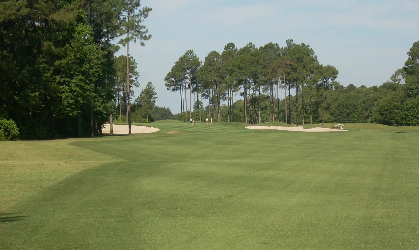 Avocet Course - Wild Wing Golf Plantation - hole 7