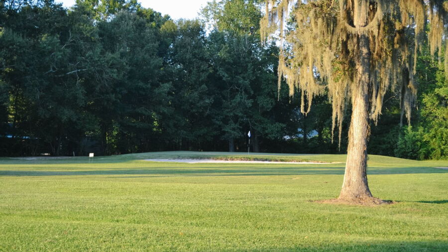The Pines at North Park