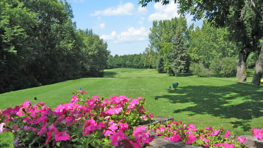 Cooke Municipal GC