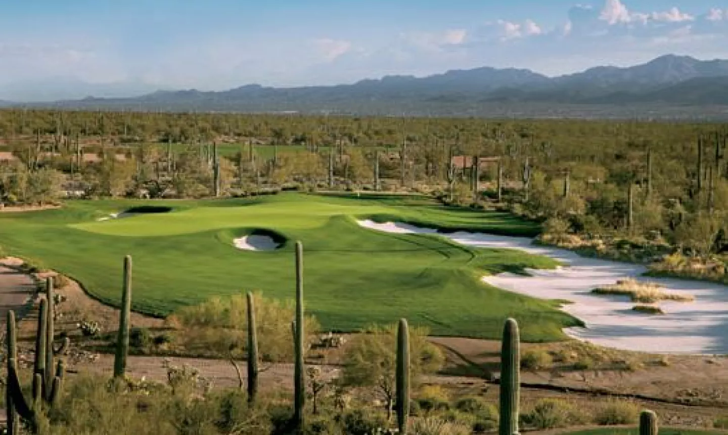 Ritz-Carlton Golf Club at Dove Mountain - Tortolita - hole 3
