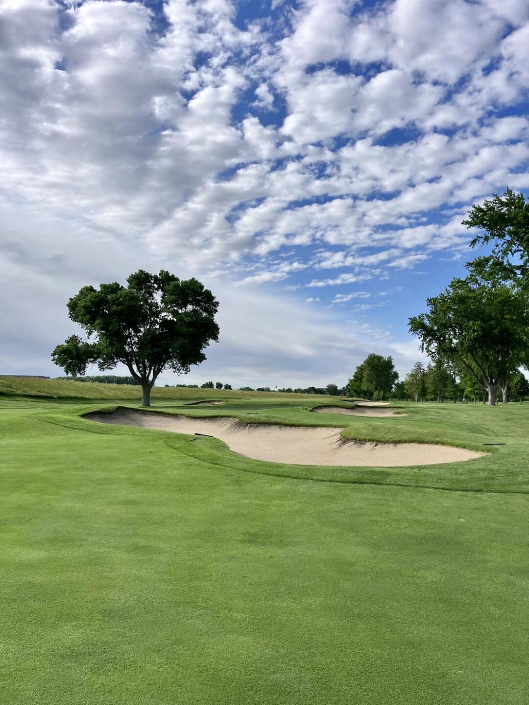 (Photo submitted by BrandonWebb on 06/13/2024)