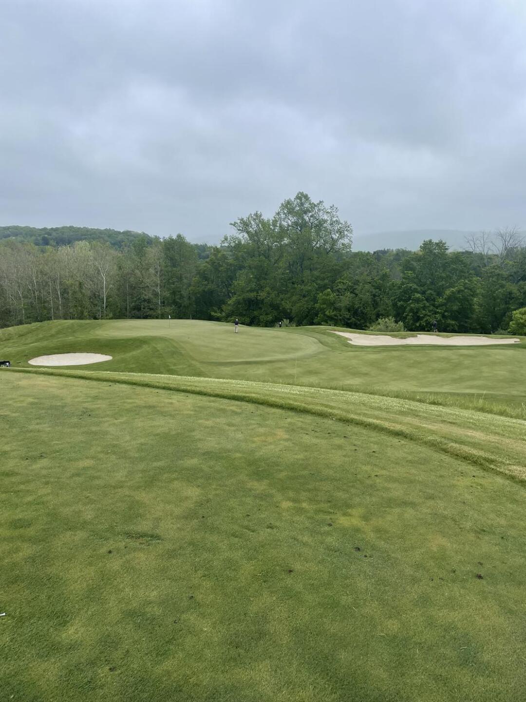 Carpet (Photo submitted by radcarl on 06/06/2023)