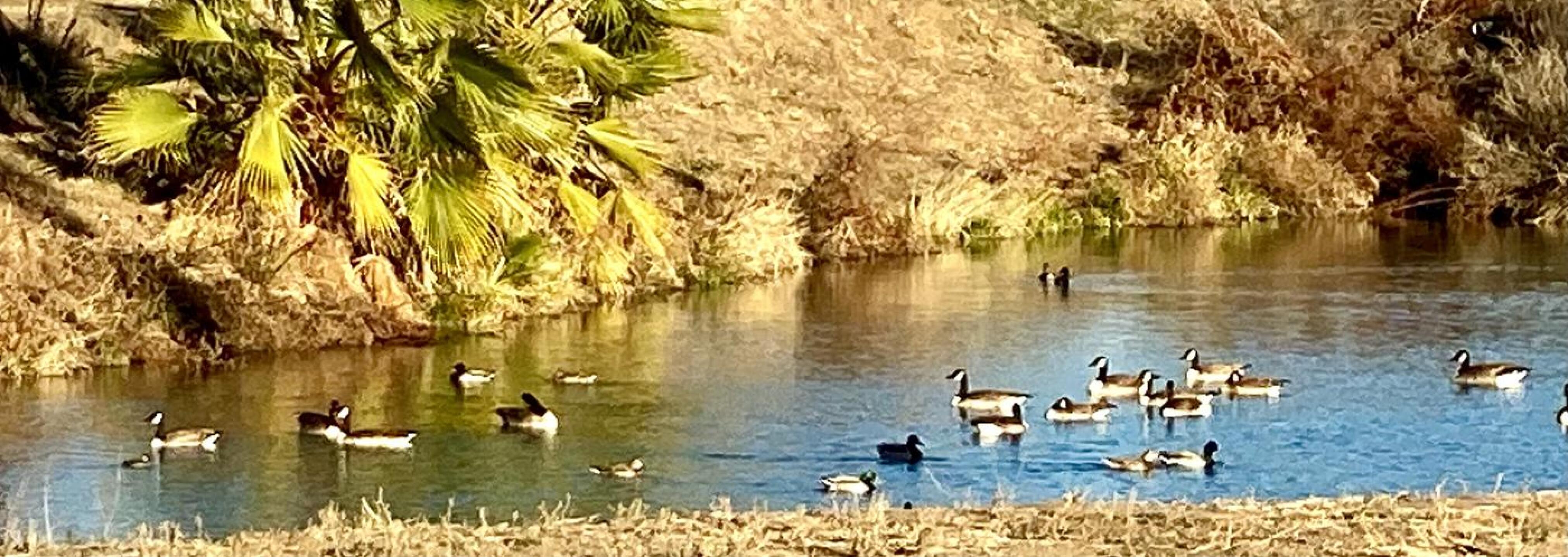 (Photo submitted by u6094862 on 01/14/2021)