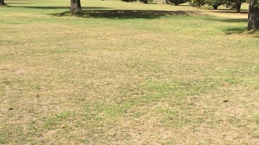 Murrurundi GC