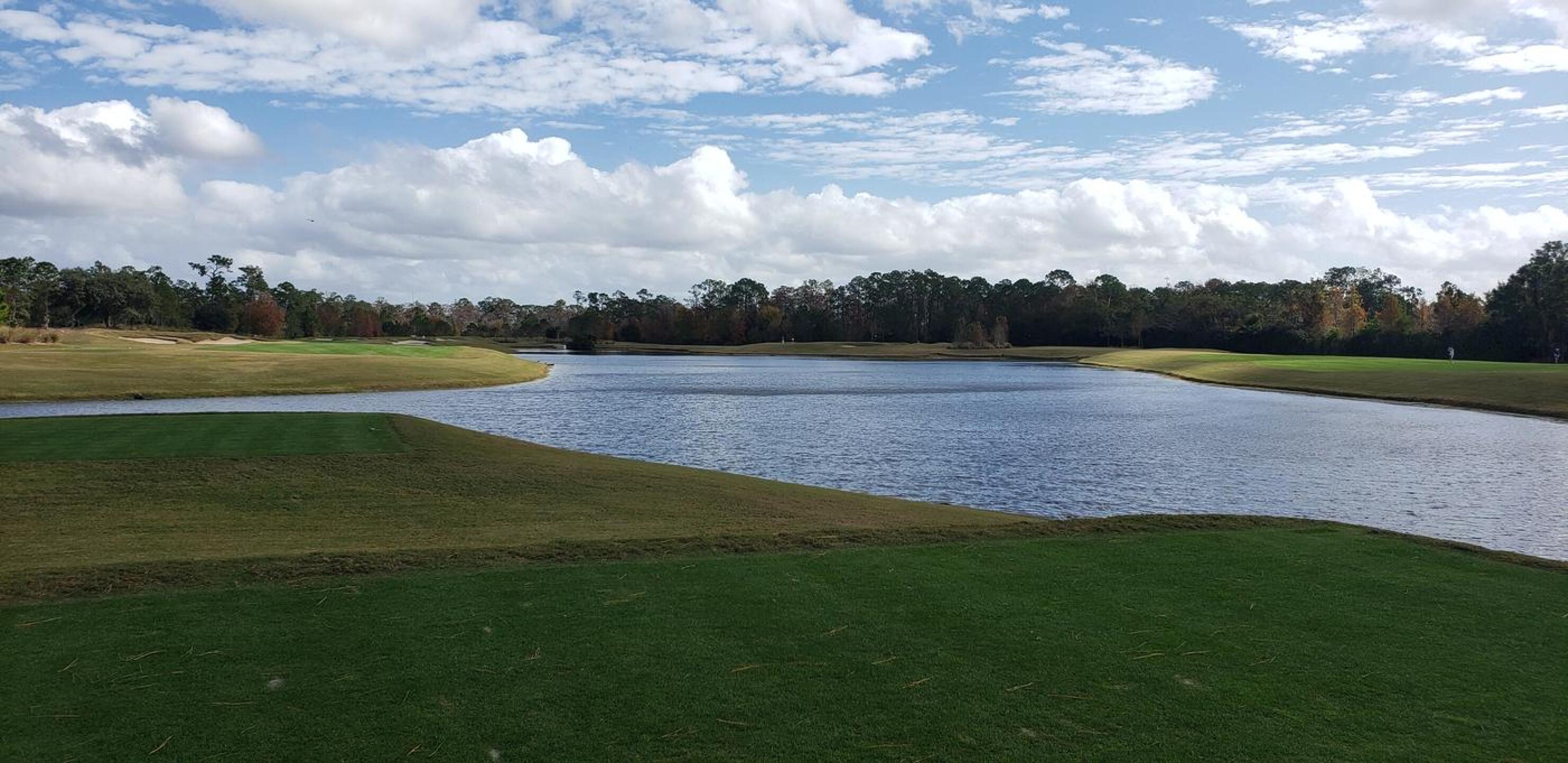 (Photo submitted by u509474626 on 12/31/2020)