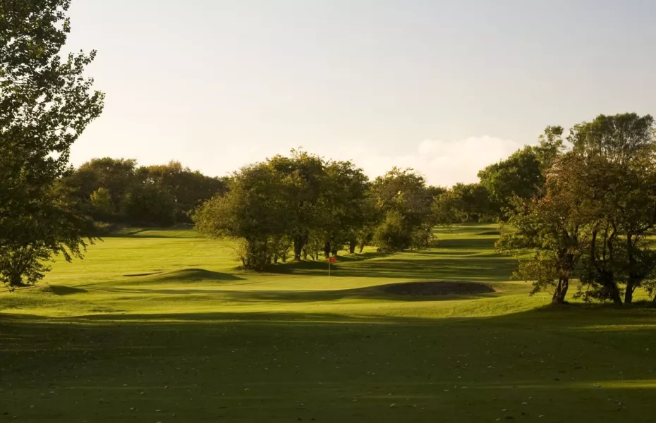 Dalmilling's 9th green