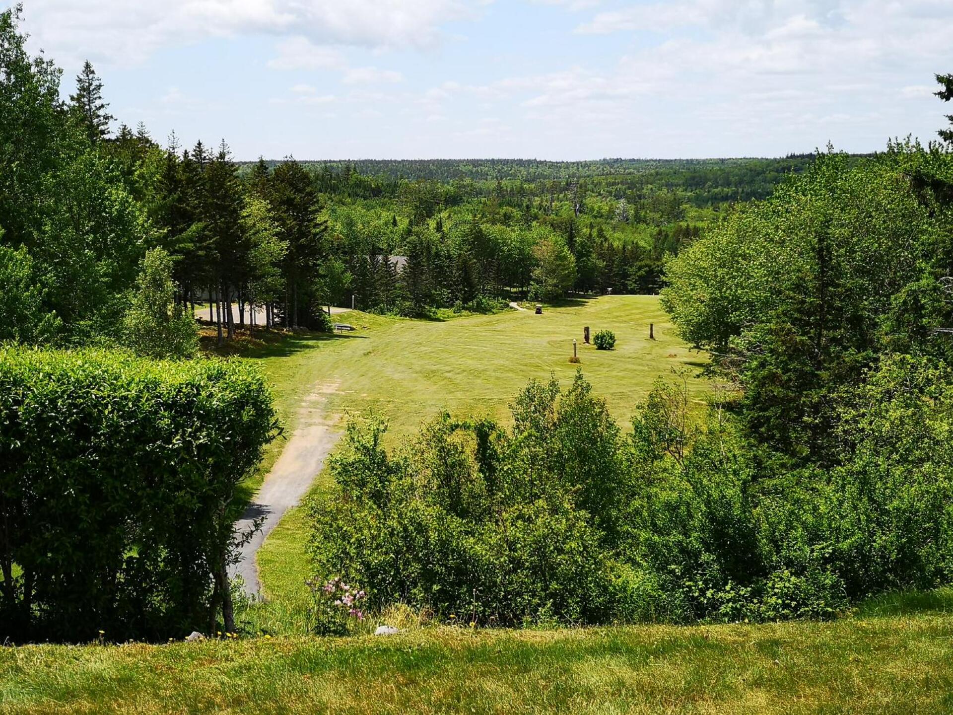 (Photo submitted by u314161707961 on 06/14/2021)