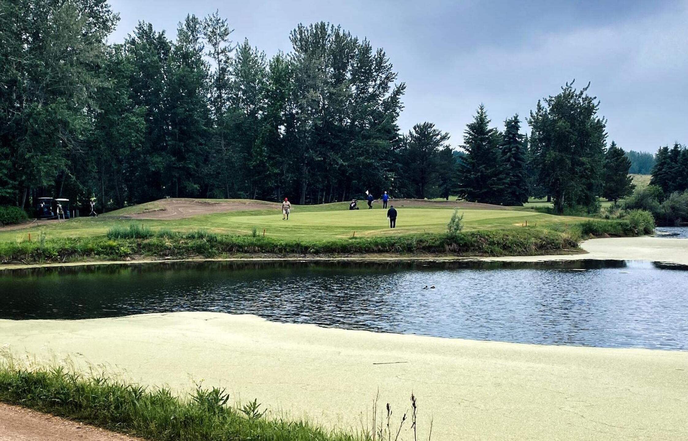 Goose Hummock GR, Hole 8, Par 3, 134 yds (Photo submitted by DYakimec on 06/28/2023)