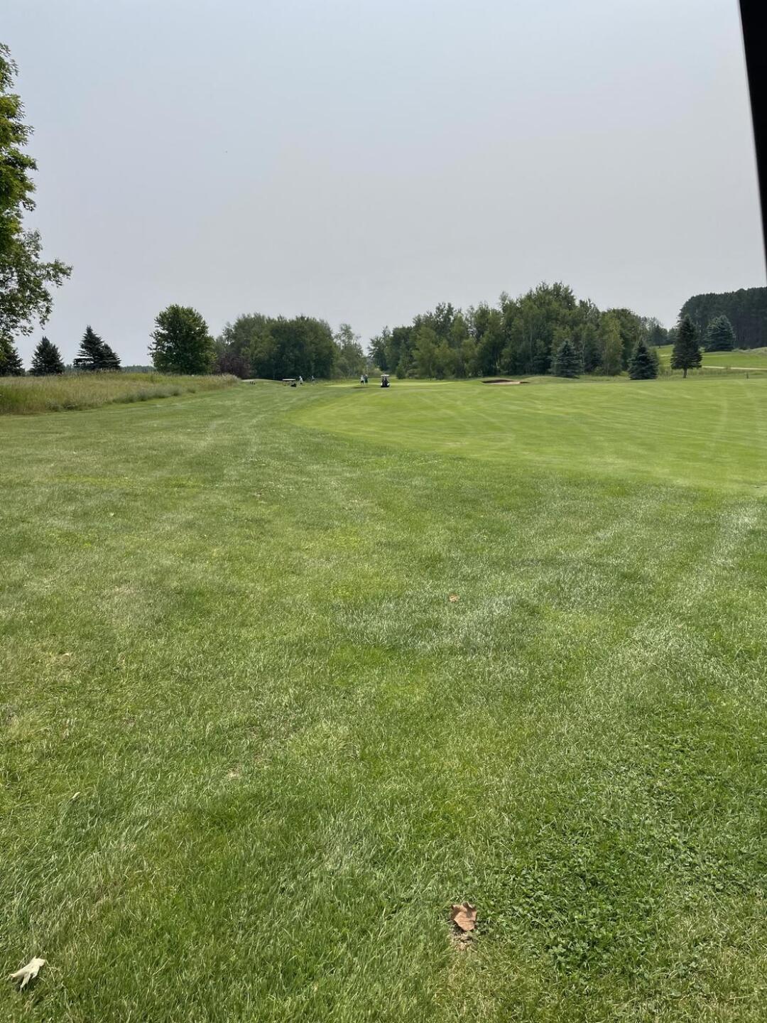 (Photo submitted by Rowneyda on 07/19/2021)