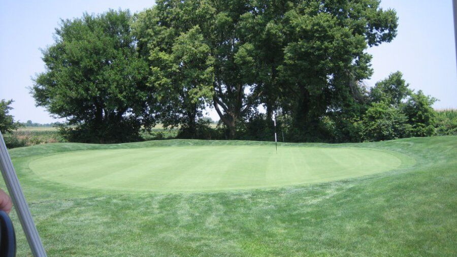 Homestead Springs GC: #1