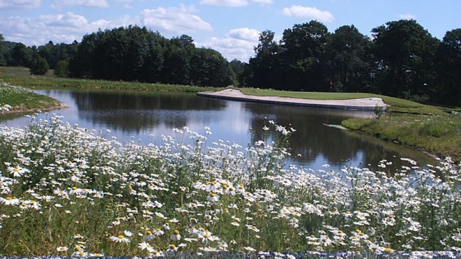 Weidenhof GC