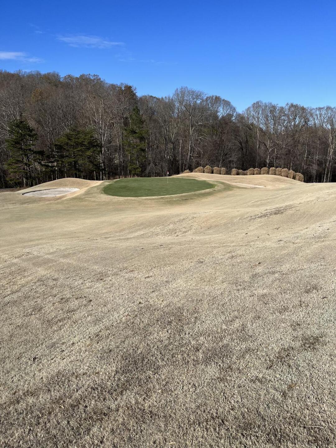 (Photo submitted by DaddyVol on 11/22/2022)