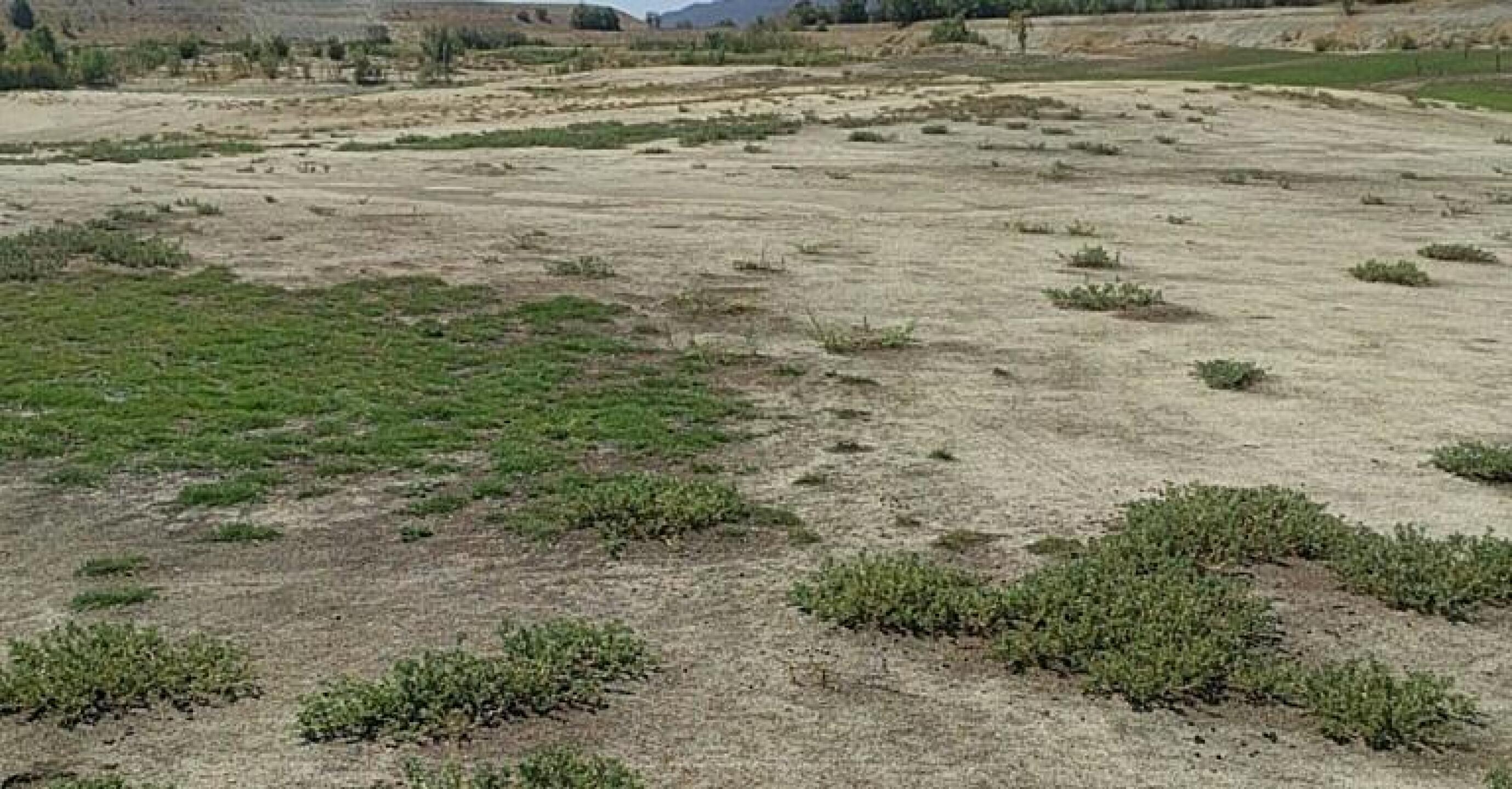 (Photo submitted by John1900880 on 07/26/2016)