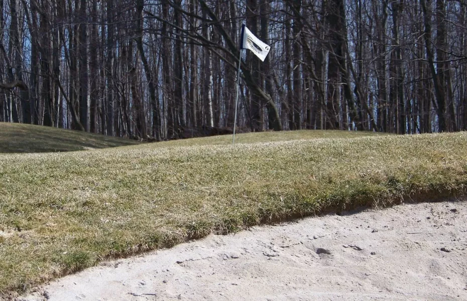 Southern Meadows Par Four