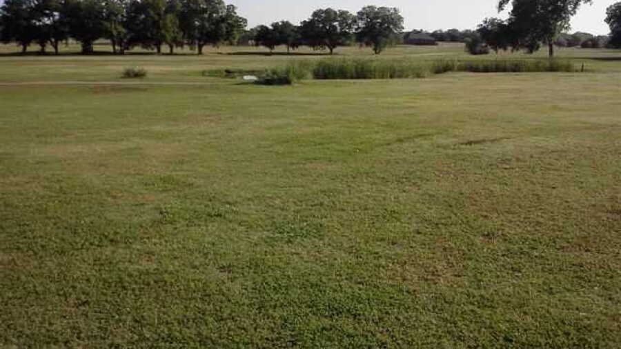 Granbury CC