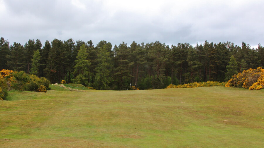 Tain Golf Club - hole 9
