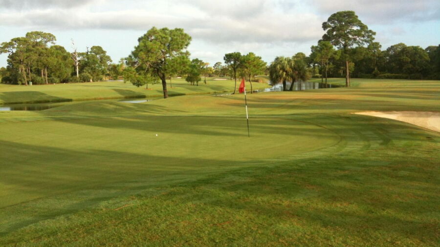 Lemon Bay GC
