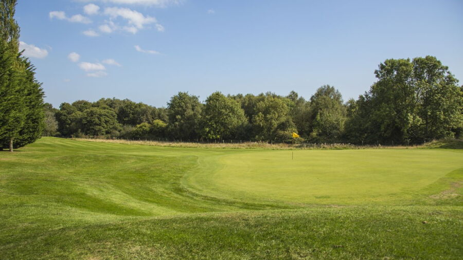 Bulbury Woods GC