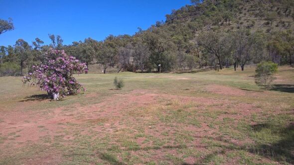 Springsure GC: #8