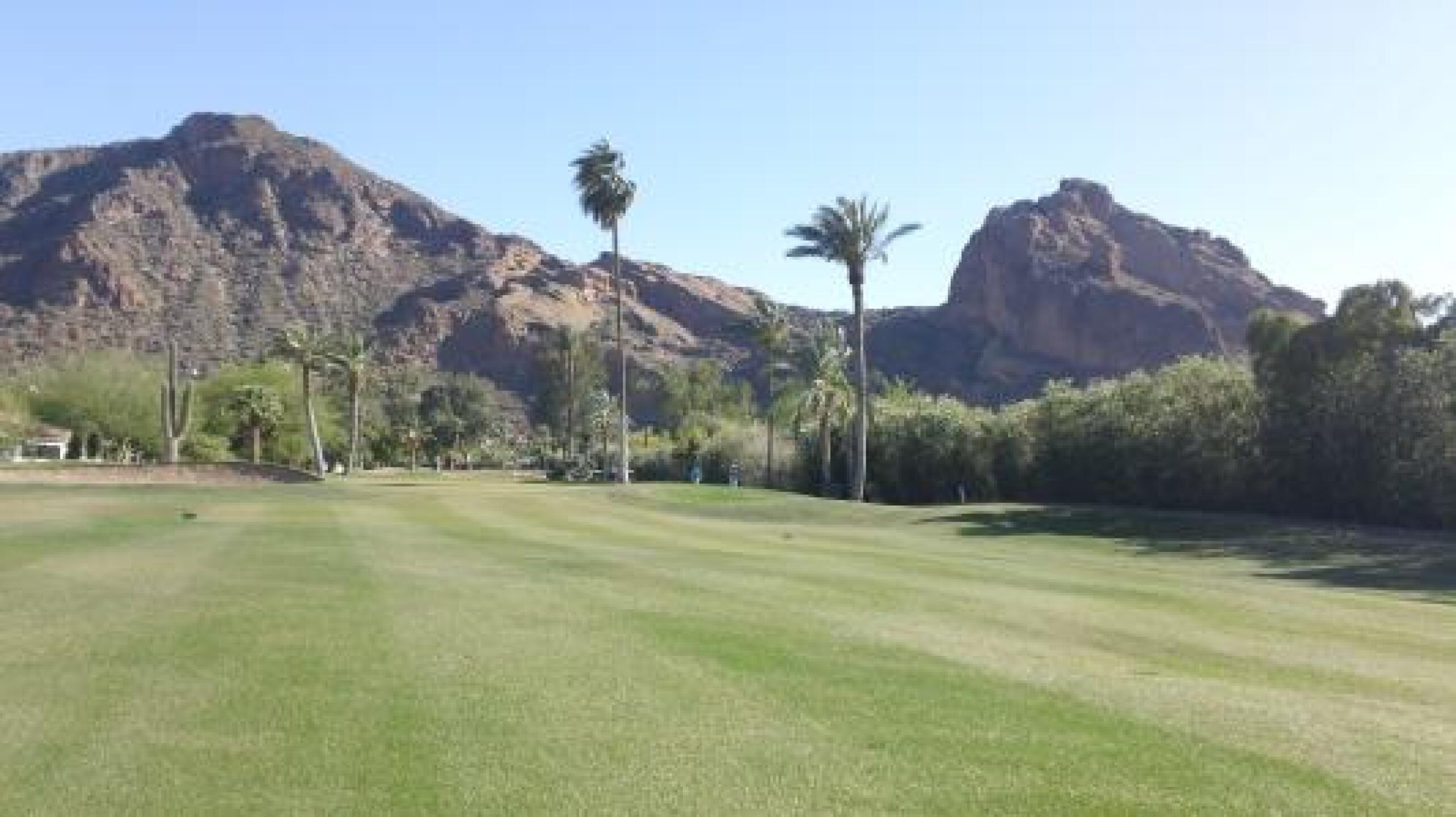 Camelback Mtn as a gorgeous backdrop... (Photo submitted by Randi212 on 04/18/2013)