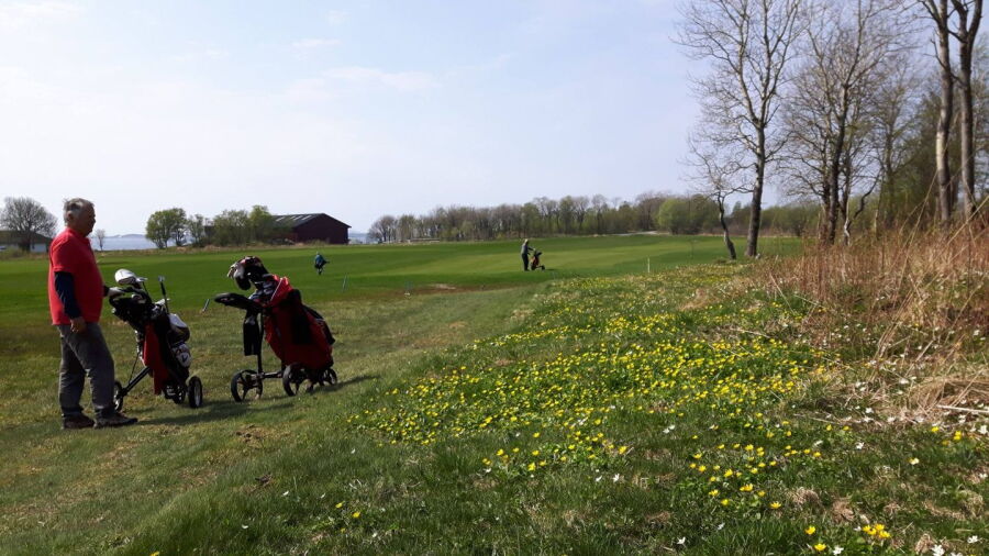 Austratt GC