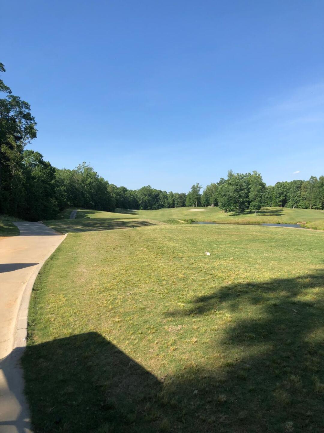 (Photo submitted by Zuluduck on 05/17/2019)