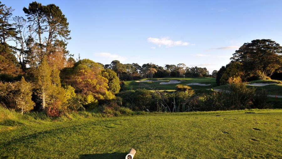 Titirangi GC: #11