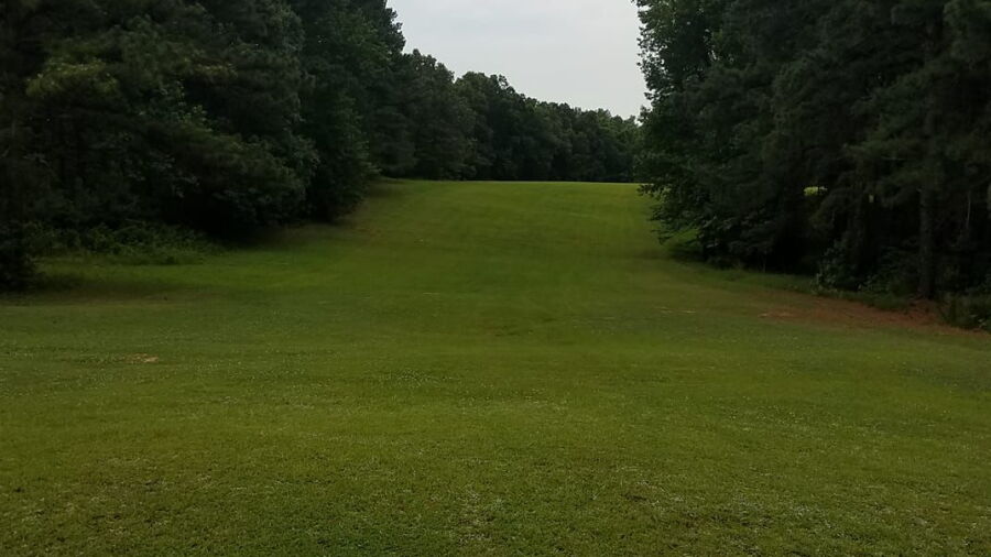 Golf North Hills: fairway