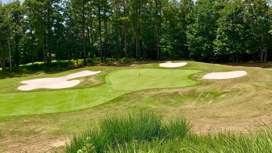 Forest Greens GC: #8