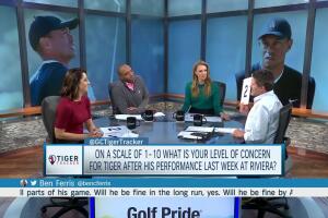 Level of Concern for Tiger