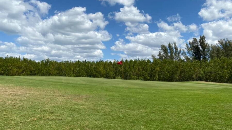 Alden Pines CC