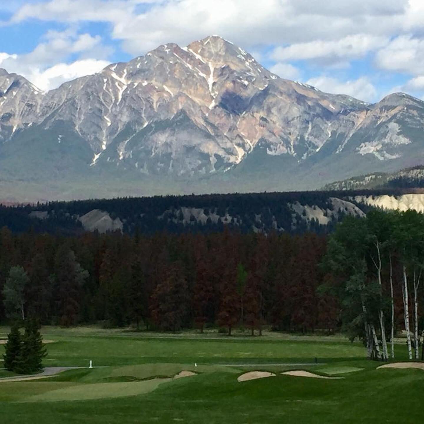 (Photo submitted by JeffArenson on 06/11/2018)