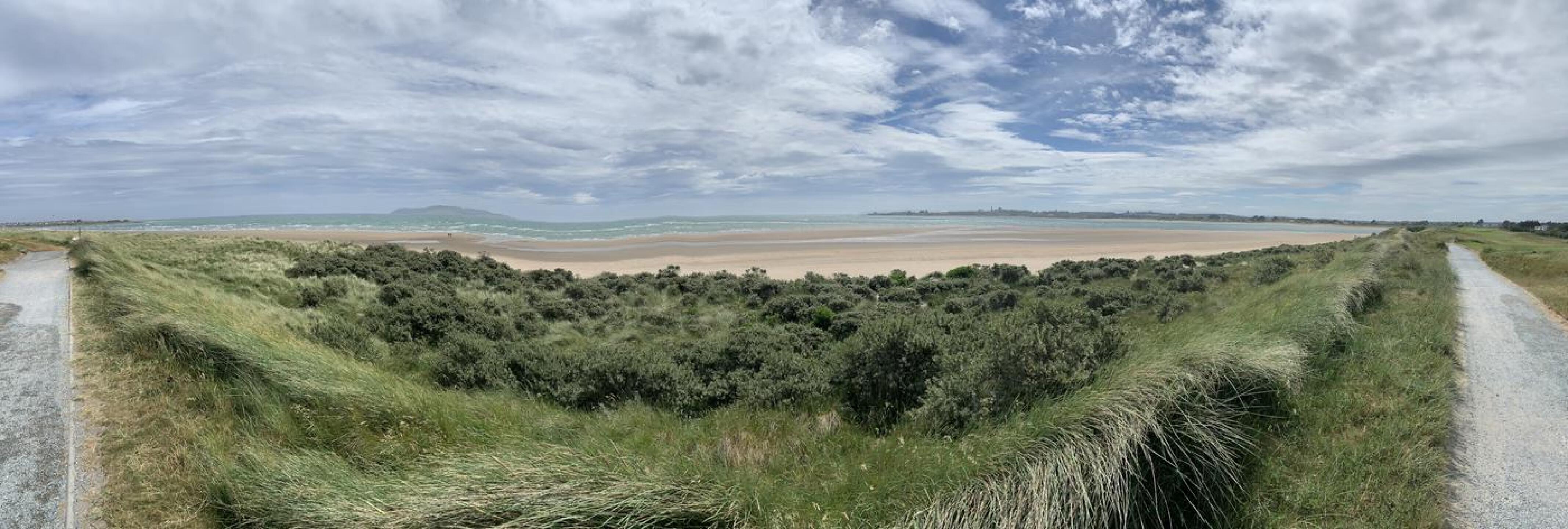 (Photo submitted by u7470894 on 06/16/2021)