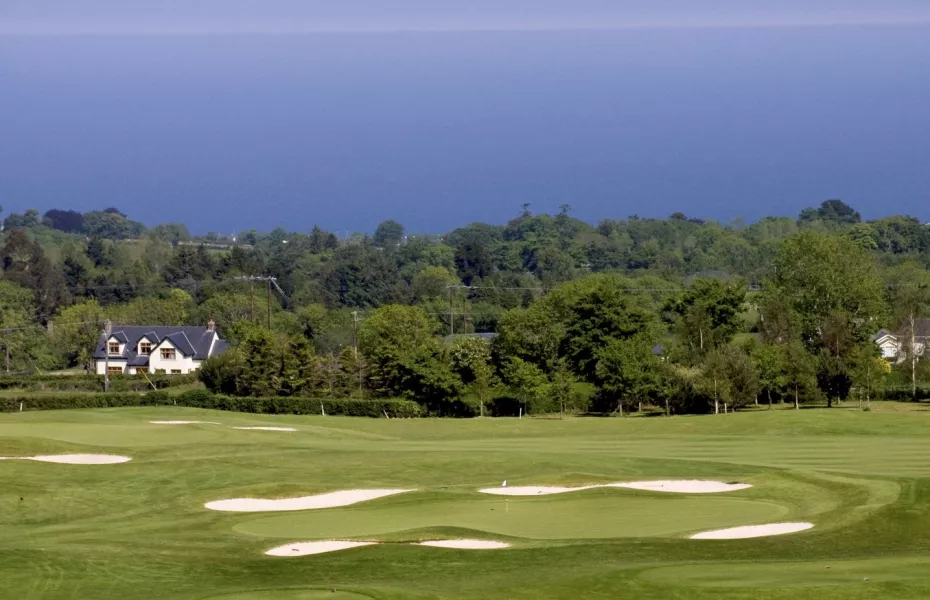 Glen of the Downs GC: #5