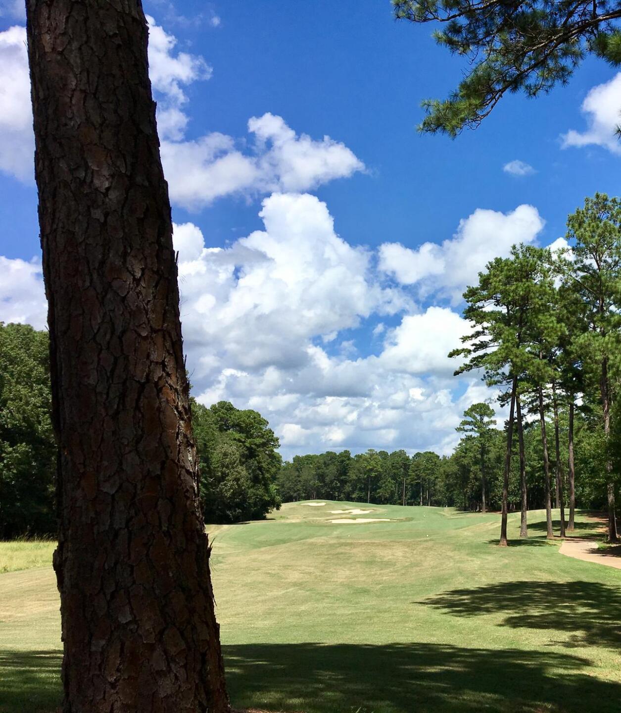 Par-5 14th hole, Lake Course (Photo submitted by BrandonWebb on 08/17/2017)