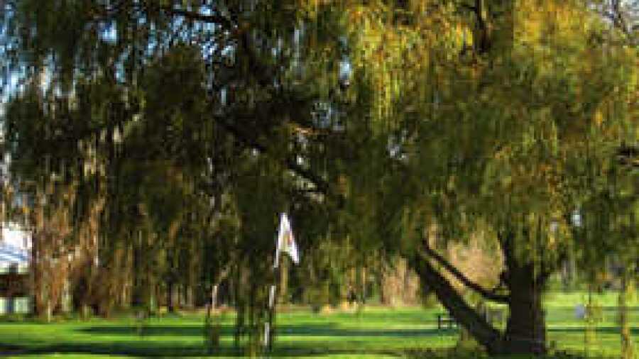 Thorpe Hall GC: #7